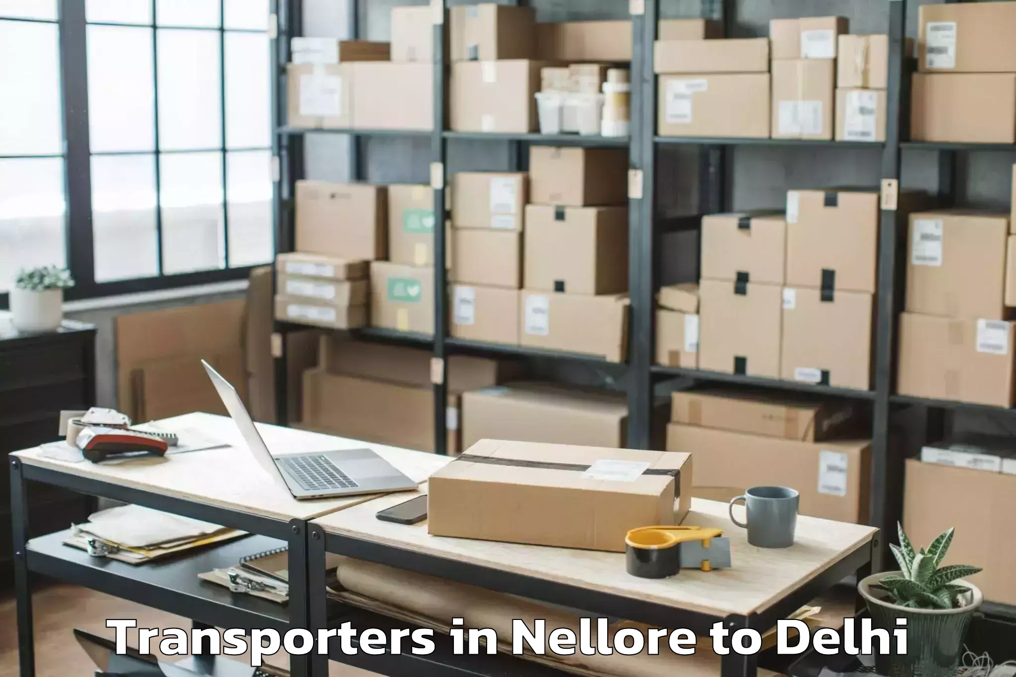 Professional Nellore to Naraina Industrial Estate Transporters